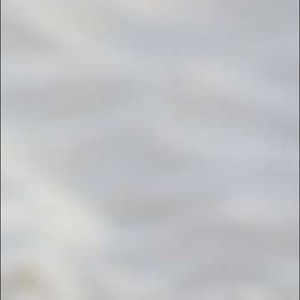 Meet your Posher, Cody